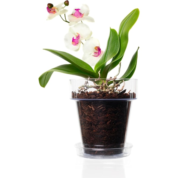 2 orkidepotter med dreneringshull: Gjennomsiktig Cachepot med Drai