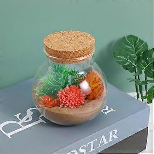 2 stk. Forseglede Klare Terrarium Glasflasker Mikrolandskab Glas Krukke Sfærisk Økologisk Flaske