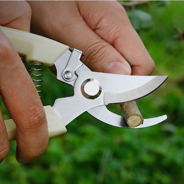Professionel 18,5 cm kvalitets trimmer, manuel trimmer, have trimmer