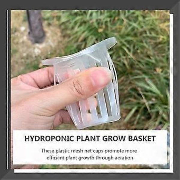 50 st Hydroponisk Plantkruka Hydroponisk Plastkorg Växtodlingsnätkruka