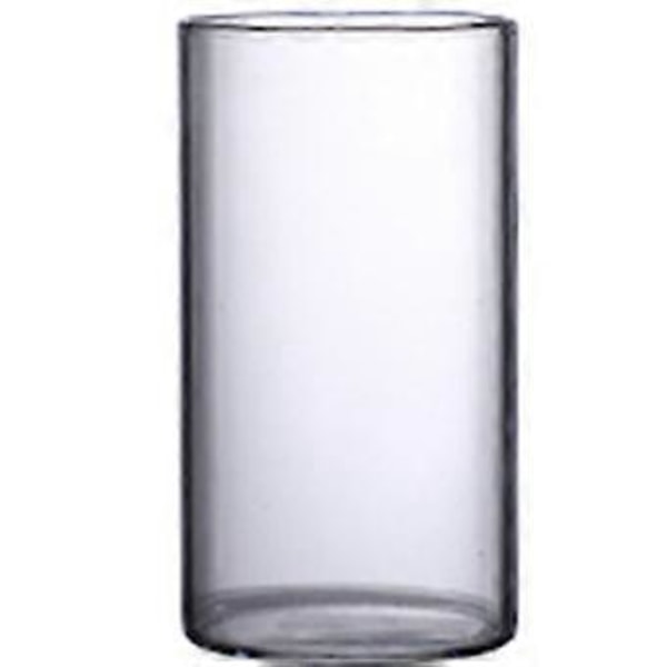 Klar Glasvas Blomvas Minimalistisk Glasvas Cylinderformad Blomvas för Bröllop Vardagsrum Dekorativ Gåva 5.5x10cm