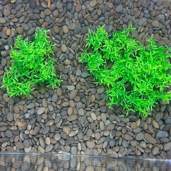 20 stk/lot Kunstige Plastplanter Akvariumplanter Små Høye Go