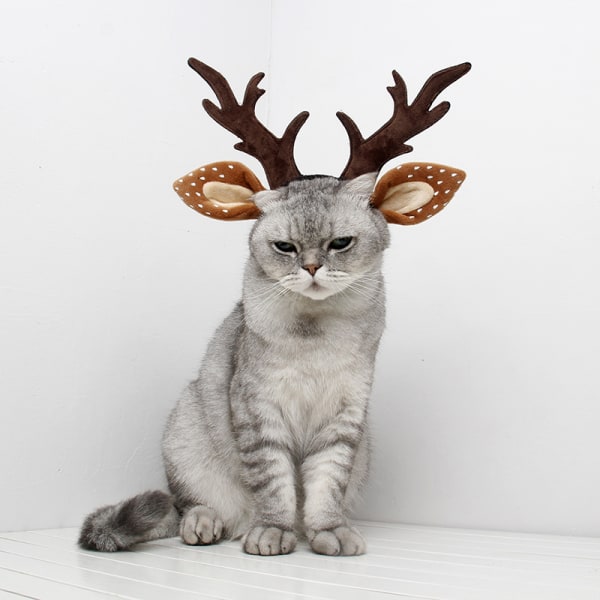 Christmas reindeer cat headdress, M30cm hoop circumference 30cm,