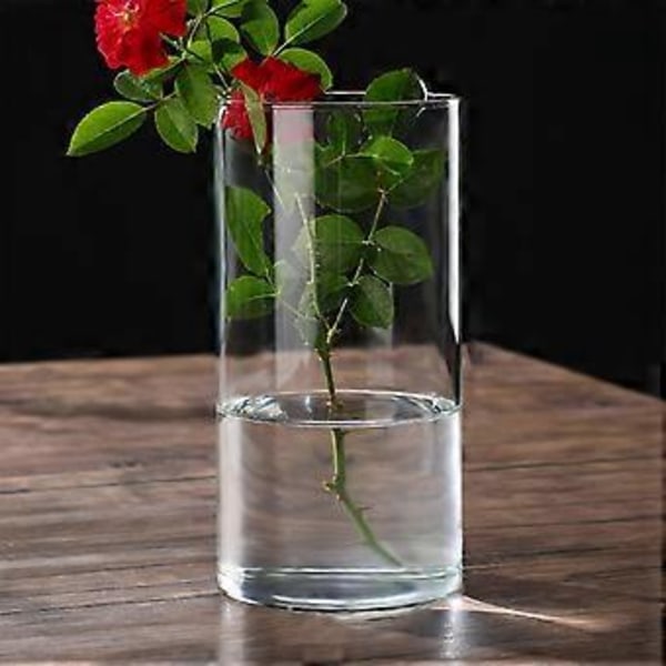 Klar Glasvas Blomvas Minimalistisk Glasvas Cylinderformad Blomvas för Bröllop Vardagsrum Dekorativ Gåva 10x20cm