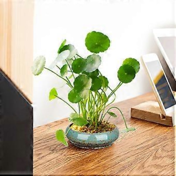 1 stk. Hydroponisk Plantepotte Keramisk Blomsterpotte Kreativ Sukkulent Påskelilje Havepotte Plantepotte (Blå)