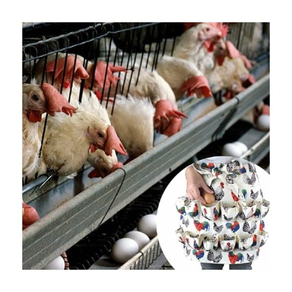 Ägguppsamlingsförkläde 12 fickor Print Chicken Coop Home A