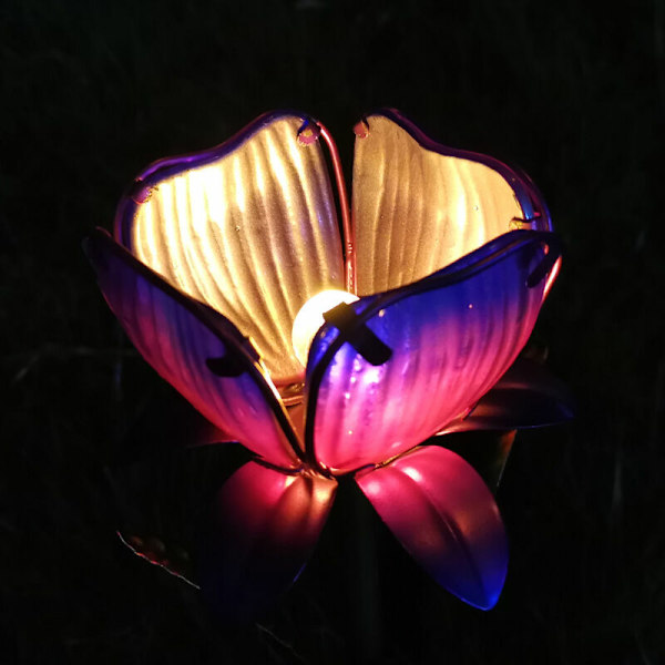 Solcelleblomstlampe, Lilla