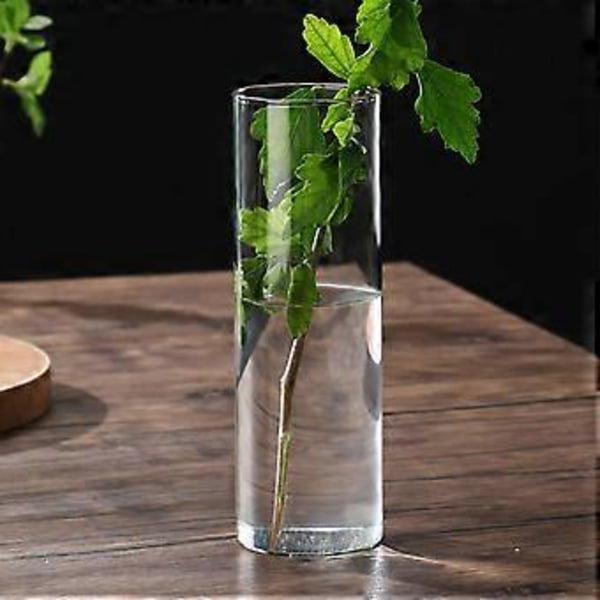 Klar Glasvas Blomvas Minimalistisk Glasvas Cylinderformad Blomvas för Bröllop Vardagsrum Dekorativ Gåva 6.5x20cm