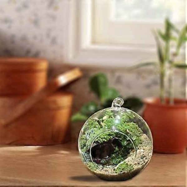 Riippuva lasiterraario Globe, teekynttilänpidike, mehikasvien maljakko, ripustin kotiin, häihin, juhliin, sisä- ja ulkotiloihin, sisustus 8CM 8CM