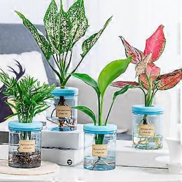 Selvvandende Plantepotter Vase Hydroponisk Beholder med Effektiv Fugtighedskontrol for Nem Vedligeholdelse og Dekoration 83 soft stopper
