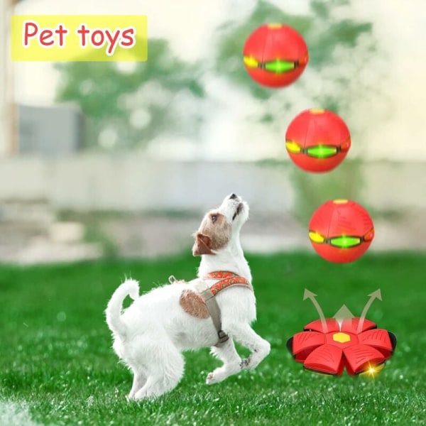blå Pet Toy Frisbee Ball, Hund Toy, Hund Toy, Hund Toy, Frisbee Bal