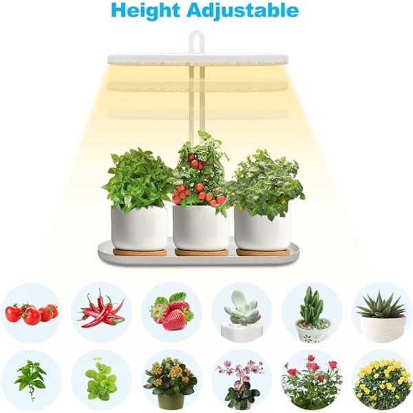 Lys LED Plantelys for innendørs planter, New Generation Desk Gro