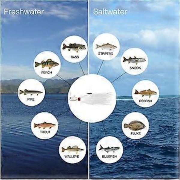Fluke Viehe Karvaperho Suolavesi Makeanveden Vieheet Surffauskalastus Valkoinen Punainen Chartreuse Basso Kampela Ahven Raidallinen Sinikala Halibut Punakala (VALKOINEN)(3