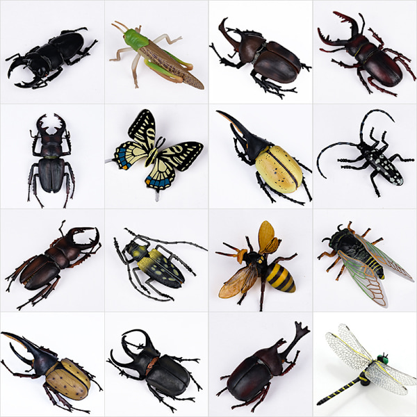 3 stk. realistisk insektsæt - biologiske videnskabslegetøj til børn - R