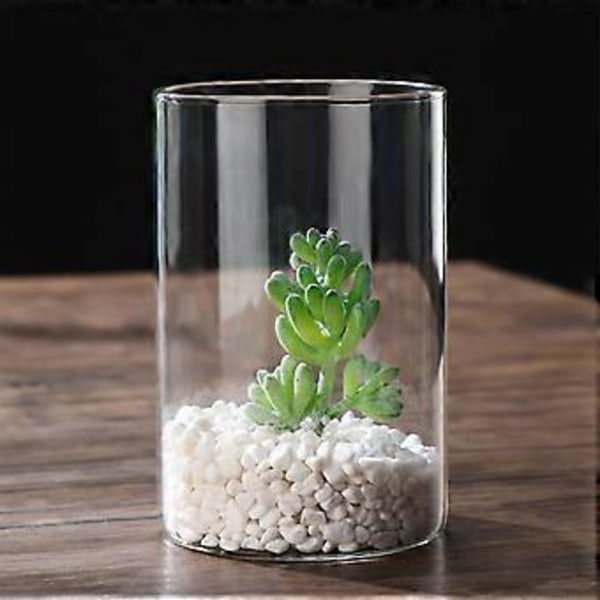 Klar Glasvas Blomvas Minimalistisk Glasvas Cylinderformad Blomvas för Bröllop Vardagsrum Dekorativ Gåva 10x15cm