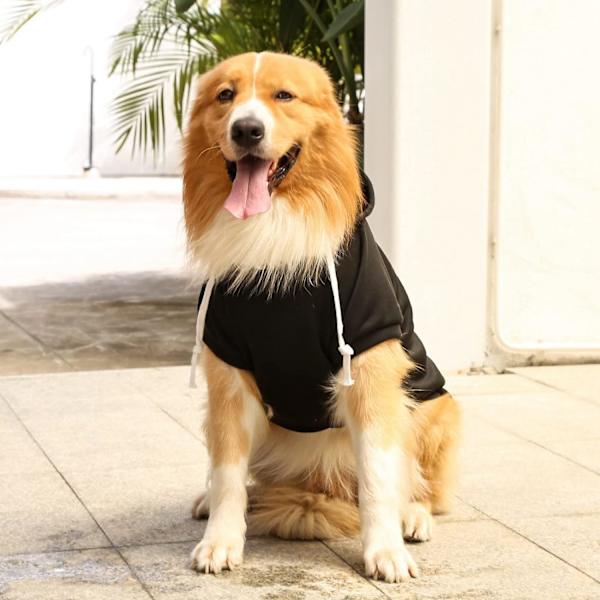 Hundtröjor, Husdjurskläder Vinterrock Sweater (Svart)