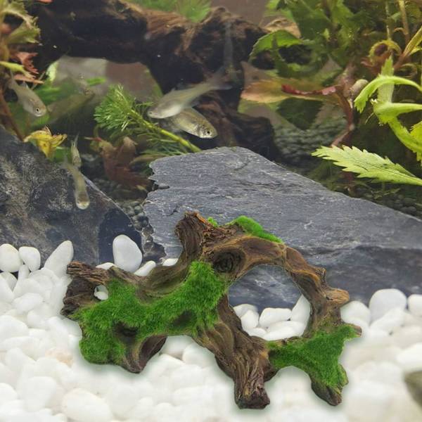 Akvarie Drifting træ fisk tank hule fisk kamp logs og Mo