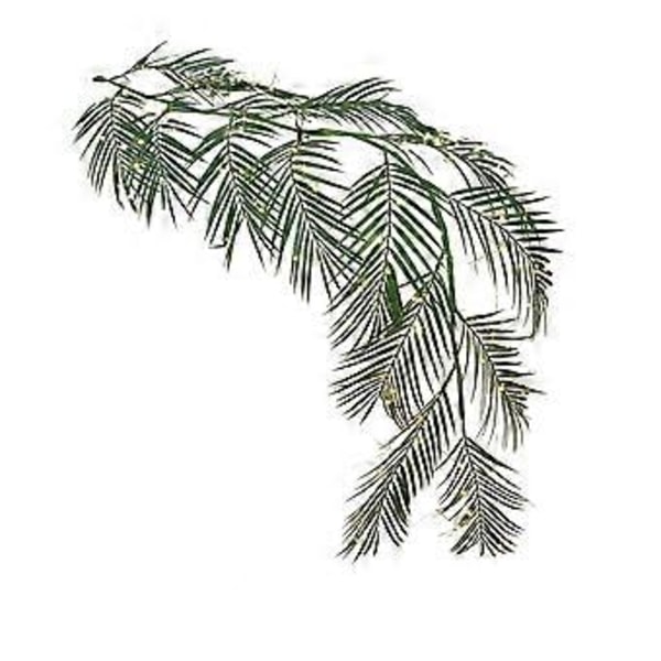 Belyst Palm Garland Timer 180 cm 120 LED-lampor Batteridriven Konstgjord Med Lampor För Sommar Julbord Öppen Spis