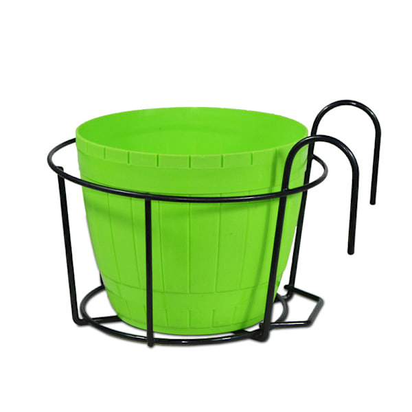 Svart jernplanter - hengende planter hengende planter hengende plan