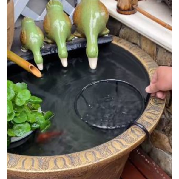 Svart jernplanter - hengende planter hengende planter hengende plan