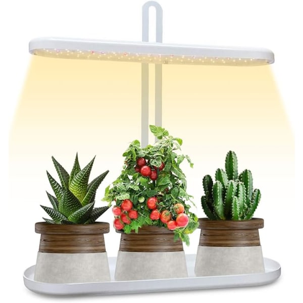 Lys LED Plantelys til indendørs planter, New Generation Desk Gro
