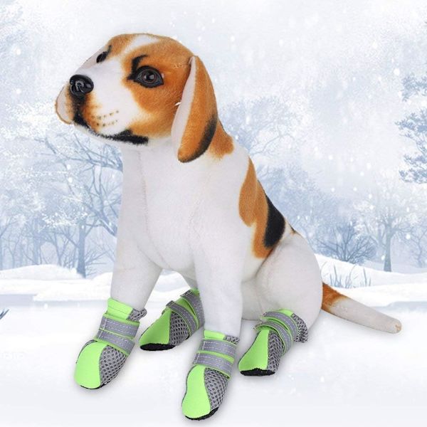 2 par hundskor, husdjursskor, mesh, halkfria, andningsbara, Protec