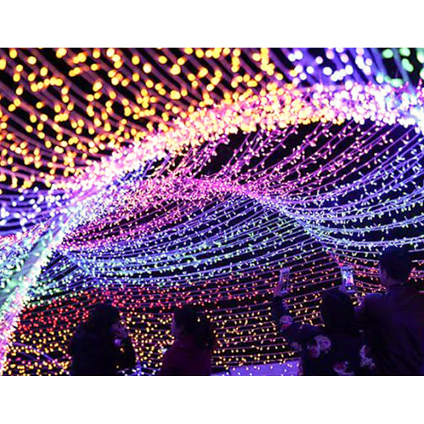 Thrisdar 50m Jul LED-slinga Fe-ljus Utomhus(Vit)