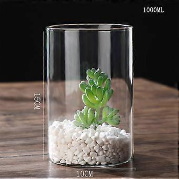 Klar Glasvas Blomvas Minimalistisk Glasvas Cylinderformad Blomvas för Bröllop Vardagsrum Dekorativ Gåva 10x15cm