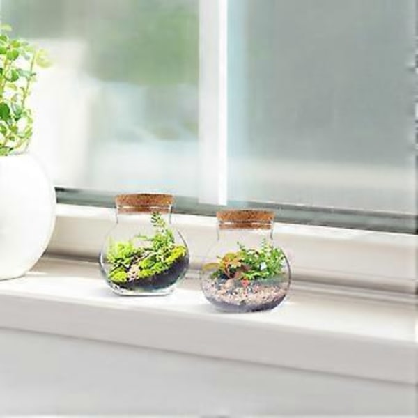 2 stk. Forseglede Klare Terrarium Glasflasker Mikrolandskab Glas Krukke Sfærisk Økologisk Flaske