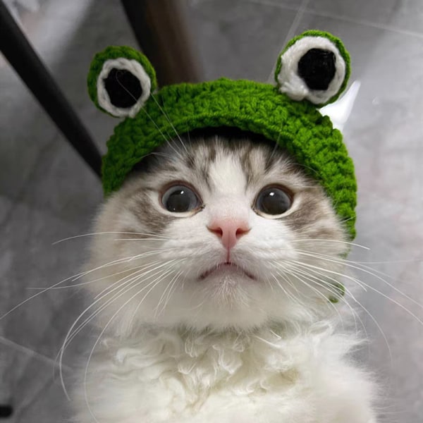 Grønn（S egnet for katter)Cap Funny Hat Funny Hat Cartoon Frog S