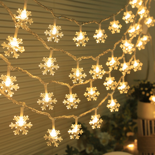 String Lights, 6M 40LED Christmas Snowflake Lights USB and Batter