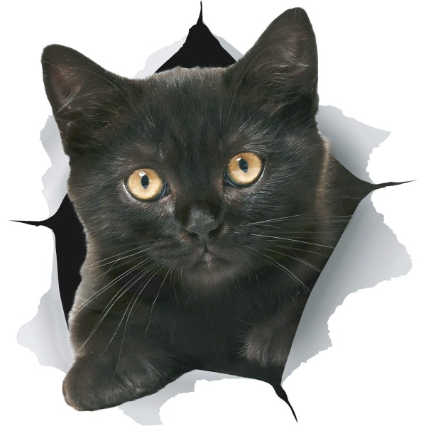 5 Pack - 3D Cat Stickers - Black Cat Wall Decals - Cat Wall Stick