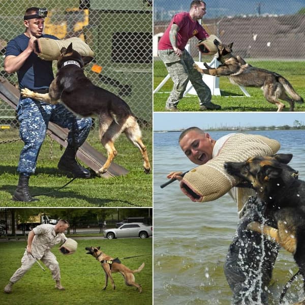Hundträningsutrustning Valpskyddsärm Anti-Bite Ärm f