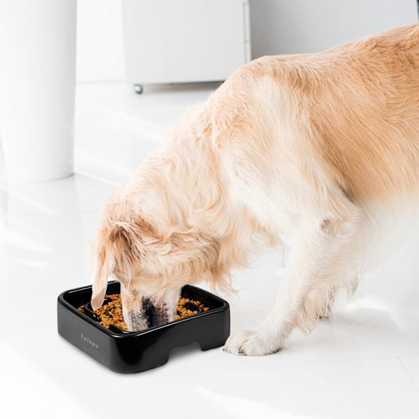 Anti-gulpe-skål til hunde og katte, langsom foderskål til hunde,