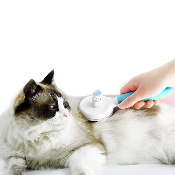 Självrengörande borste för hundar och katter Hårborttagningsmassage för husdjur c