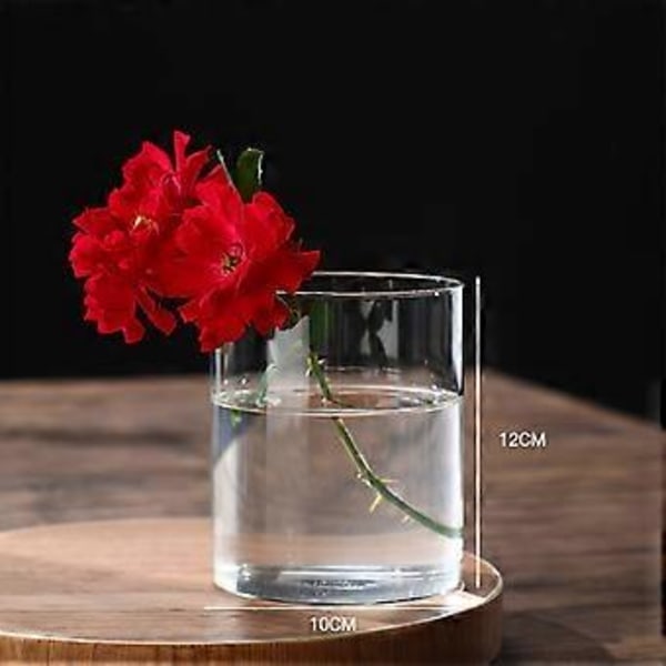 Klar Glasvas Blomvas Minimalistisk Glasvas Cylinderformad Blomvas för Bröllop Vardagsrum Dekorativ Gåva 10x12cm