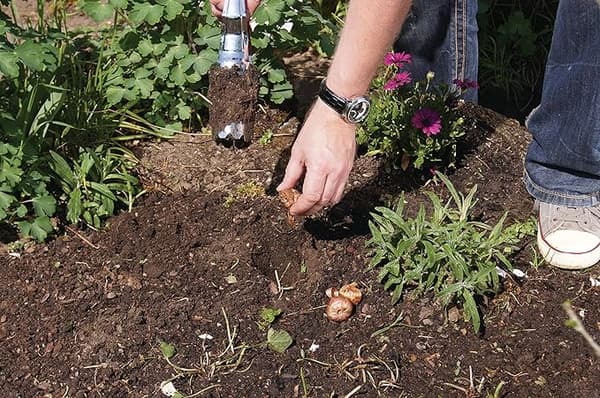 FISKARS AUTOMATISK LÖKPLANTERARE