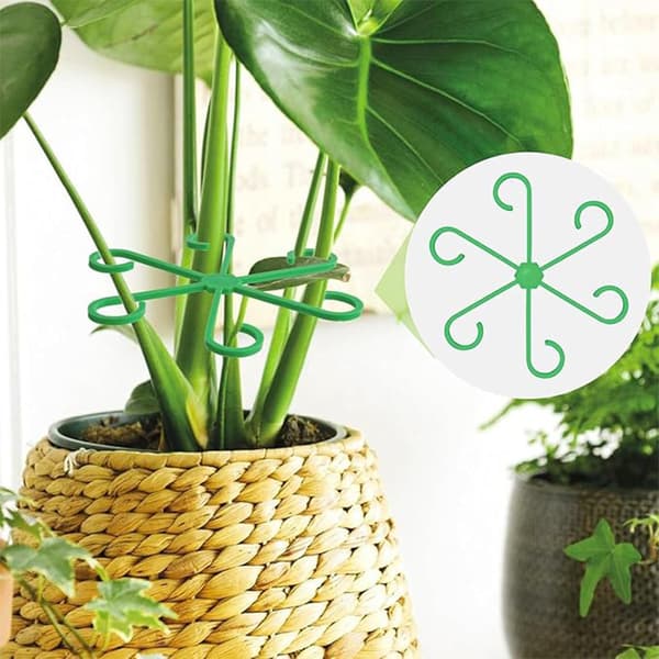 8-delat växtstöd, stöd för blomstjälkar och samlingsstativ