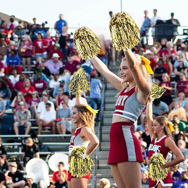 16 st Cheerleading Pompoms Flerfärgade Pompoms