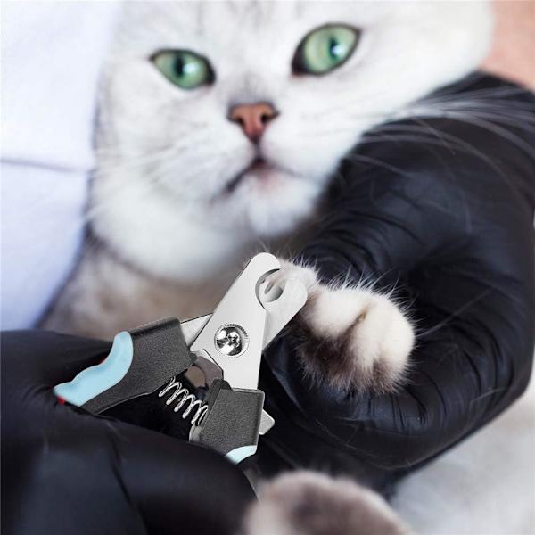 Små hundenegleklippere, katteneglesklippere, egnet til kaniner,