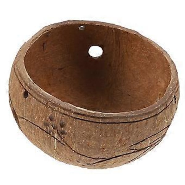 1 st Trädgårdsdekor Suckulenter Hängande Kruka Växter Hängande Kokosnötsskal Växtkruka