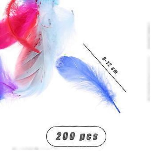 200 stykker flerfarvede fjerdekorationer