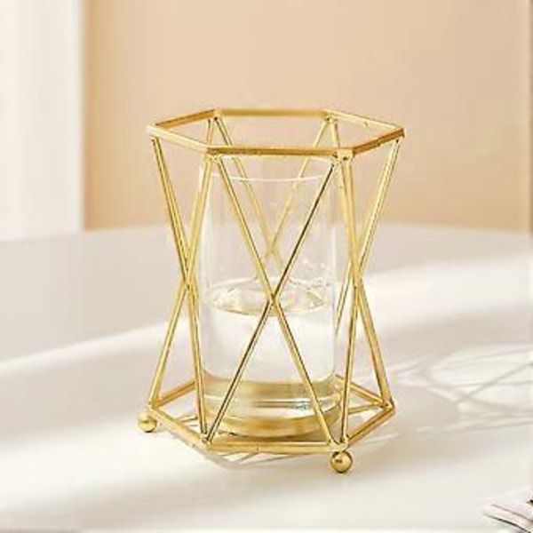 Hydroponiska Gröna Växtvas Ornament Transparent Vas Bordsdekorationer för Vardagsrum Sovrum Arbetsrum