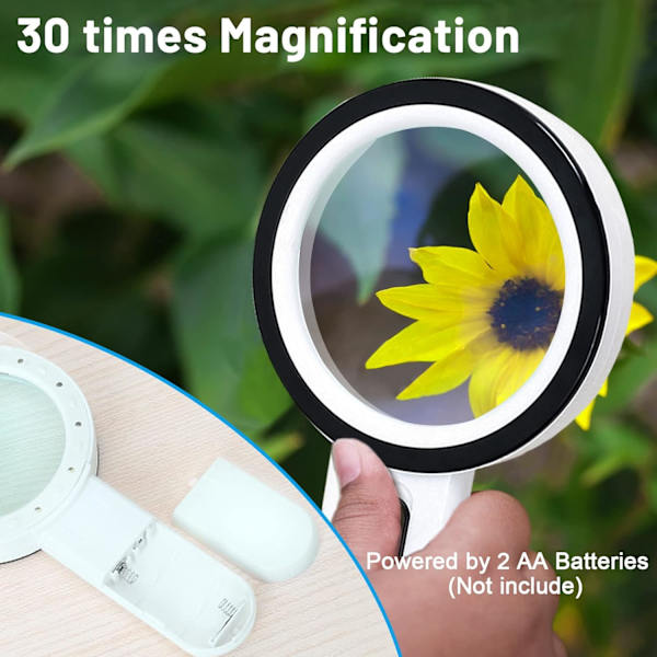 Luku suurennuslasi, 30x suurennos 12 LED-valolla - Lighte