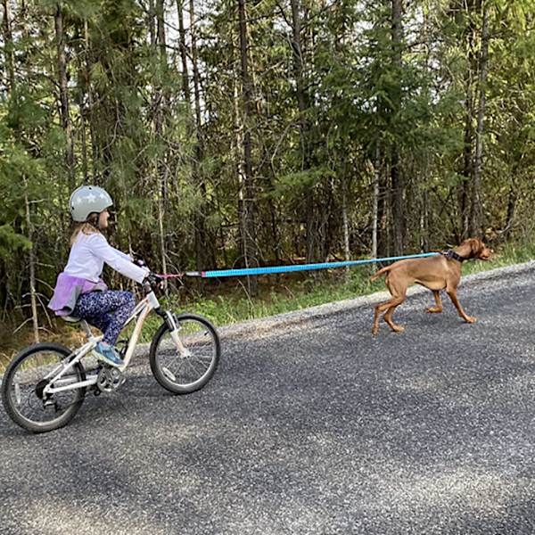 Cykel træktov, træktov til børnecykler, træktov