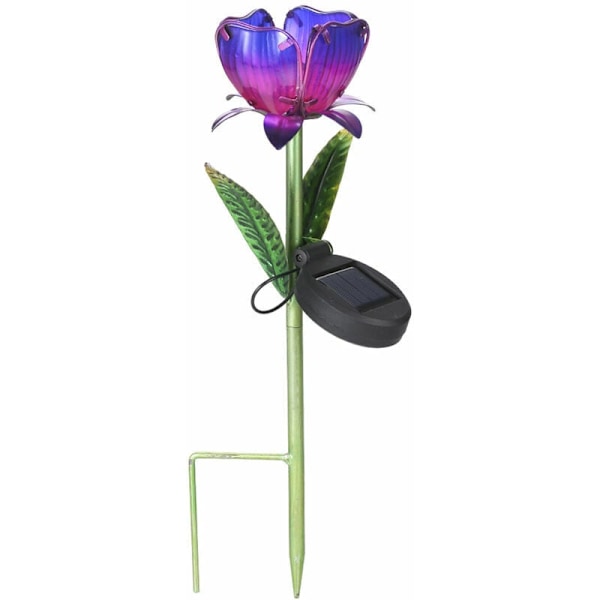 Solcelleblomstlampe, Lilla