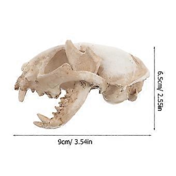 Katte Skelet Resin Dyr Lykkekat Kranie Model Figur Akvarium Fisketank Landskabsdekoration