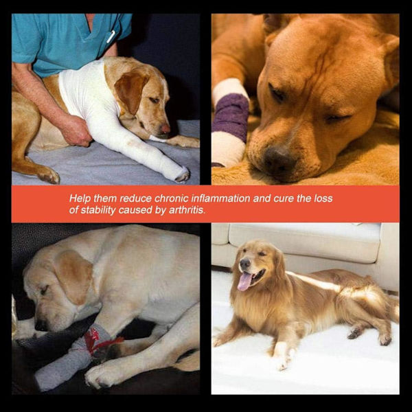 Pet Fracture Splint Hund Beskytter Box Ortopædisk Restaurering Sammenføjning