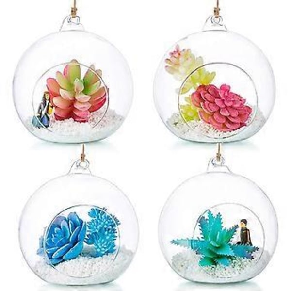 Riippuva lasiterraario Globe, teekynttilänpidike, mehikasvien maljakko, ripustin kotiin, häihin, juhliin, sisä- ja ulkotiloihin, sisustus 8CM 8CM