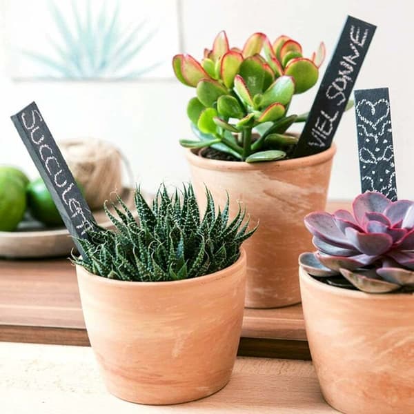 Skifermerker for planter, grønnsaker eller urter 15 x 2 cm